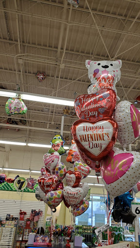 Dollar Store «Dollar Tree», reviews and photos, 1031 E Oakton St, Des Plaines, IL 60018, USA