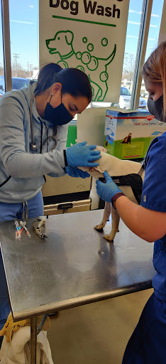 Pet Supply Store «Pet Supplies Plus», reviews and photos, 400 Lowell Ave Suite 14, Haverhill, MA 01832, USA