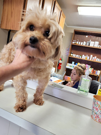 Animal Medical Center of Franklin image