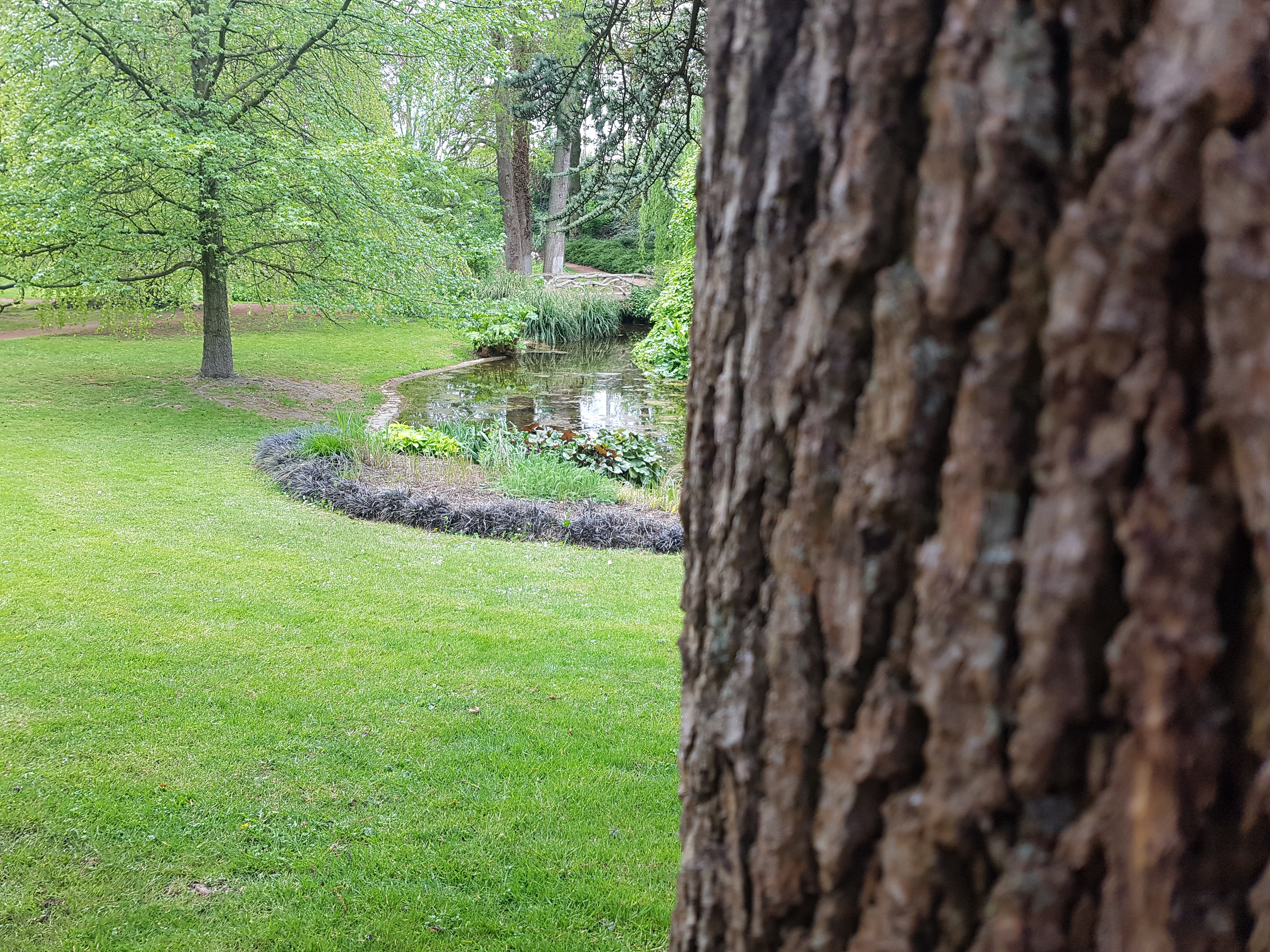 Photo n° 4 de l'avis de Merouane.o fait le 28/04/2019 à 16:36