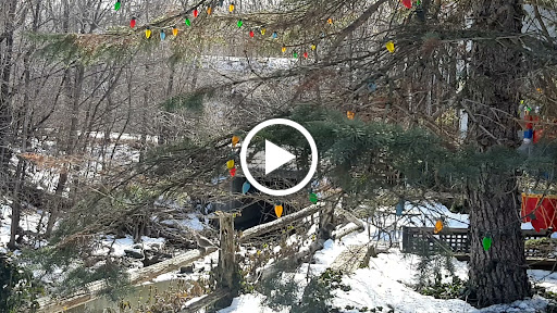 Hobby Store «Oakridge Hobbies», reviews and photos, 15800 New Ave, Lemont, IL 60439, USA