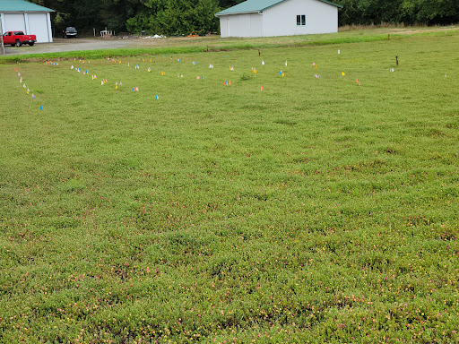 Museum «Cranberry Museum», reviews and photos, 2907 Pioneer Rd, Long Beach, WA 98631, USA