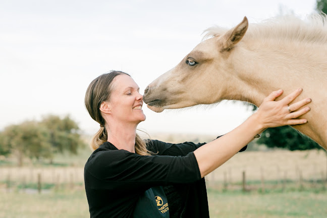 Positively Together: clicker training with your horse - Personal Trainer