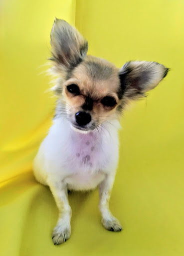 Pet Supply Store «Our Pet World», reviews and photos, 380 Semoran Commerce Pl, Apopka, FL 32703, USA