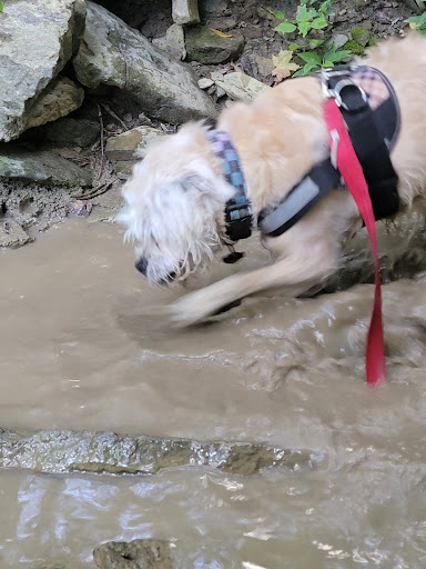 Park «Devou Park», reviews and photos, 1201 Park Dr, Covington, KY 41011, USA