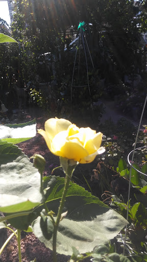 Banquet Hall «Lawlor Events Center», reviews and photos, 1664 N Virginia St, Reno, NV 89557, USA