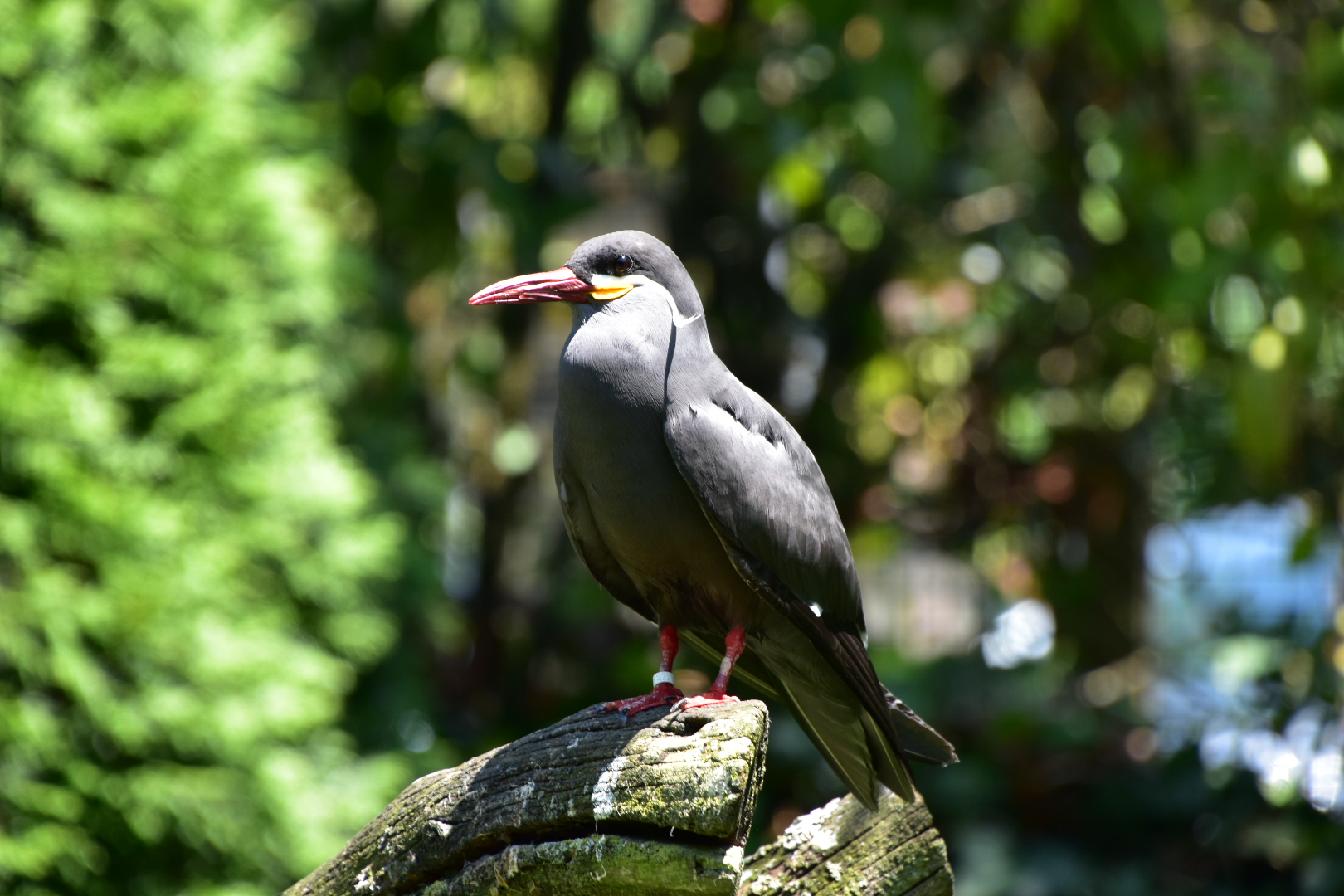 Photo n° 4 de l'avis de Marine.r fait le 05/07/2021 à 20:49