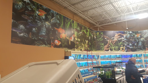 Pet Supply Store «PetSmart», reviews and photos, 6655 W Grand Ave, Chicago, IL 60707, USA