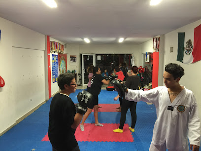 Medrano Taekwondo Academy