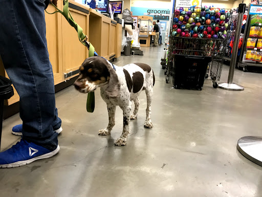 Shops to buy dogs in Puebla