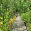 Great Swamp Conservancy