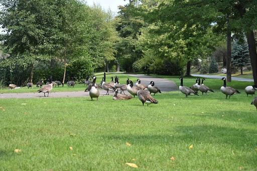 Zoo «Seneca Park Zoo», reviews and photos, 2222 St. Paul Street, Rochester, NY 14621, USA