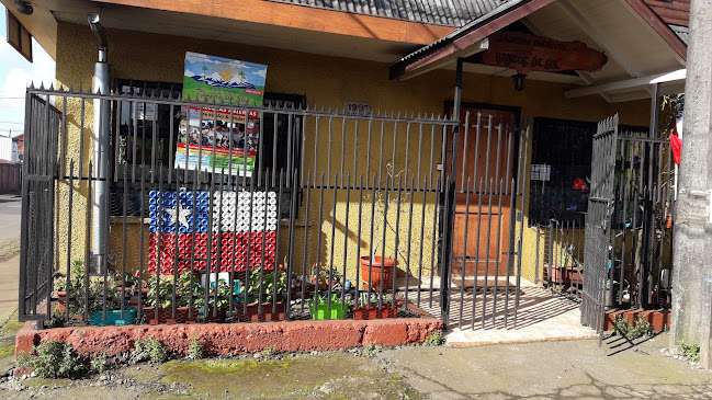 Opiniones de Sociedad Educacional Rayito De Sol Limitada en Padre Las Casas - Guardería