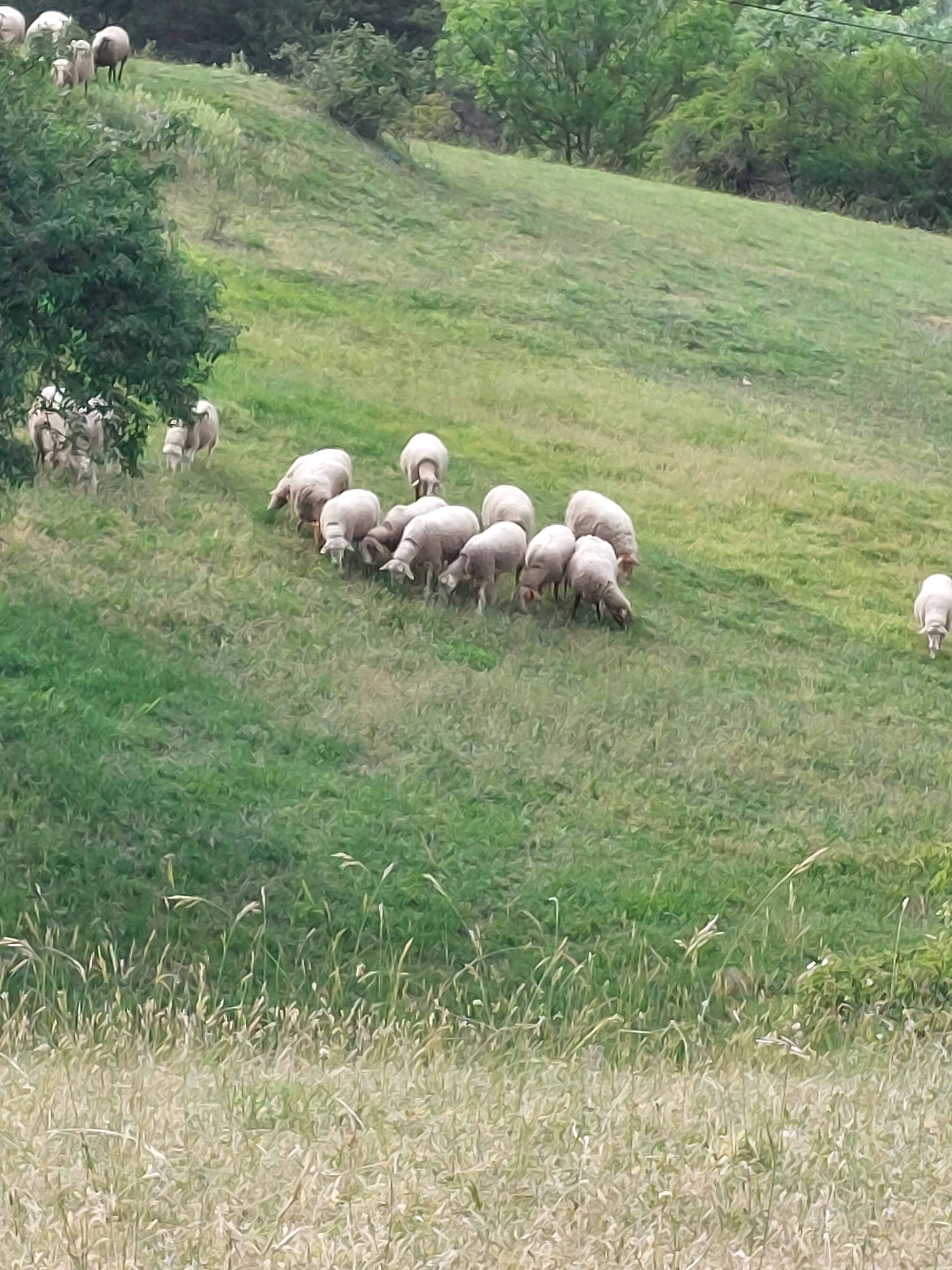 Photo n° 1 de l'avis de Martine.a fait le 02/06/2022 à 14:08
