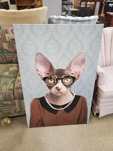 Thrift Store «Goodwill Store & Donation Center», reviews and photos, 746 S Rand Rd, Lake Zurich, IL 60047, USA