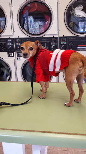 Laundromat «Rose Laundry», reviews and photos, 900 300 S, Salt Lake City, UT 84102, USA