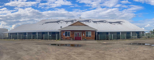 Del Oeste Equine Hospital LLC - Amber Lengele, DVM image