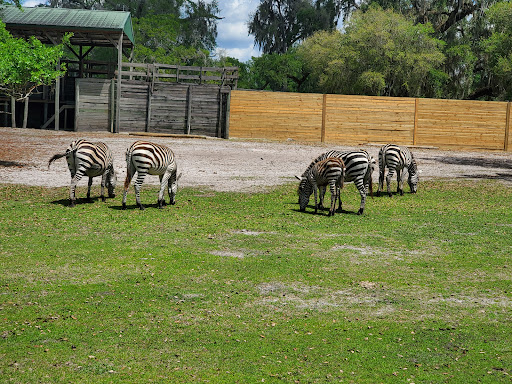 Ranch «Giraffe Ranch», reviews and photos, 38650 Mickler Rd, Dade City, FL 33523, USA