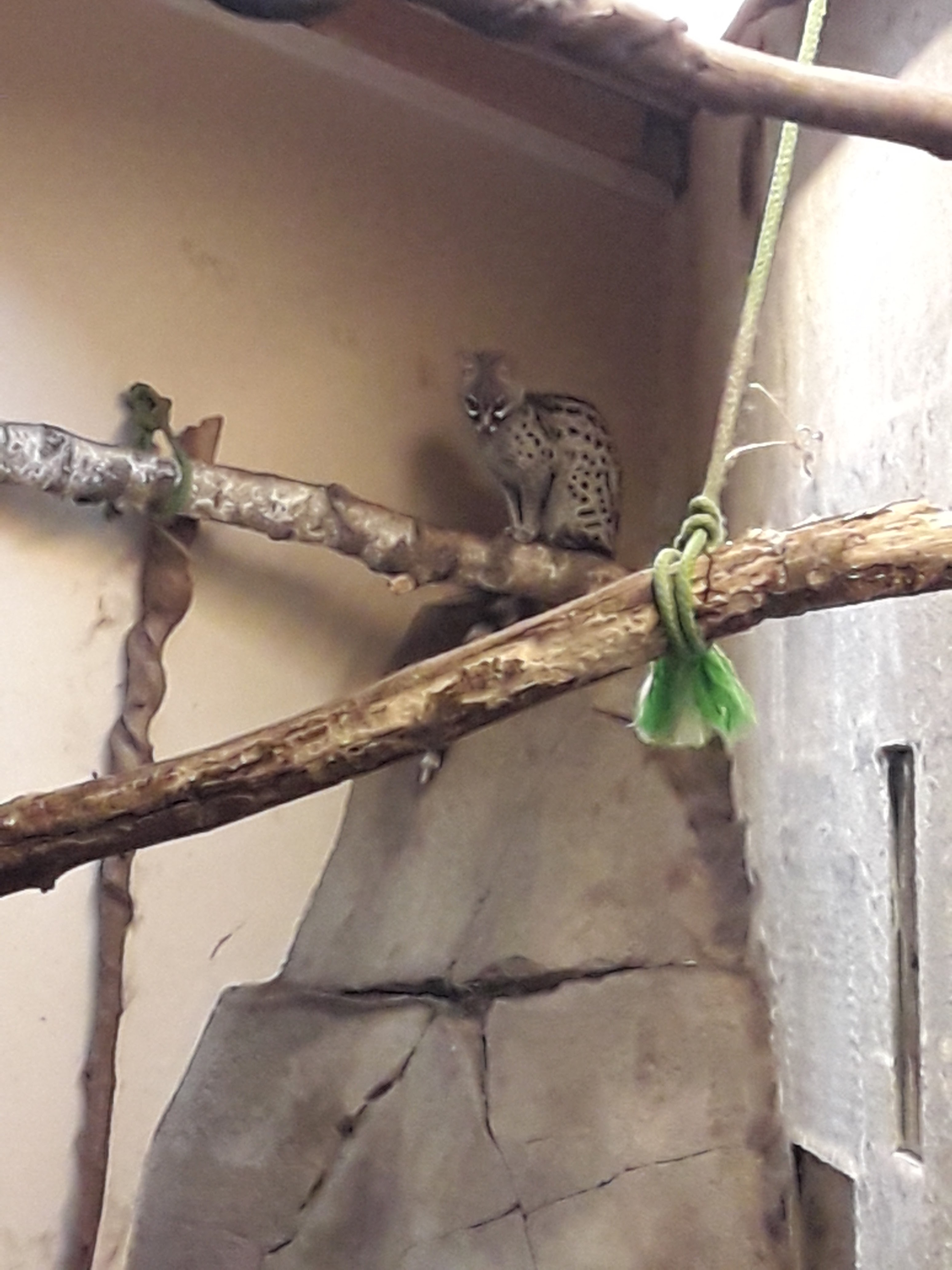 Photo n° 13 de l'avis de Christophe.l fait le 01/07/2018 à 13:30