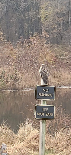 Golf Course «Paint Branch Golf Course», reviews and photos, 4690 University Blvd E, College Park, MD 20740, USA