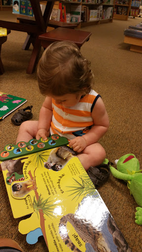 Book Store «Barnes & Noble», reviews and photos, 4015 Medina Rd, Akron, OH 44333, USA