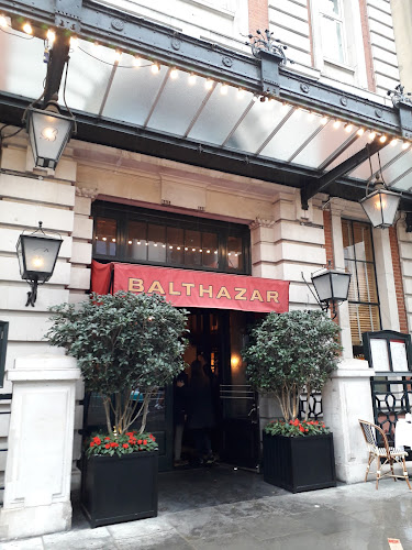 Comments and reviews of Balthazar
