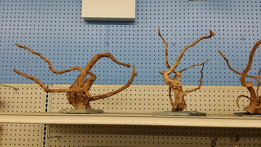 Tropical Fish Store «Tropi-Quatics Pet Center», reviews and photos, 337 S Main St, Lombard, IL 60148, USA