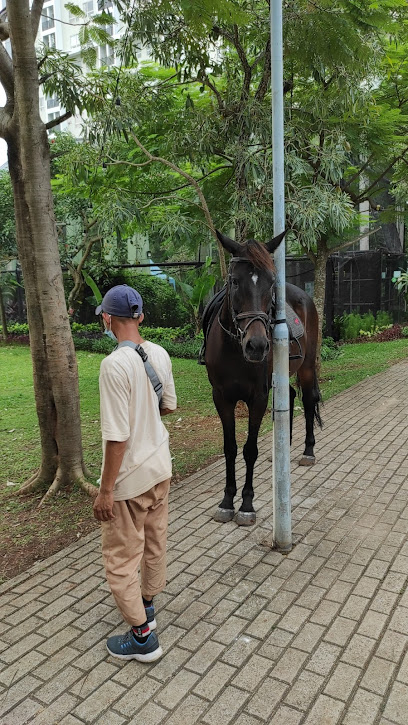 Horse Riding Scientia Square Park