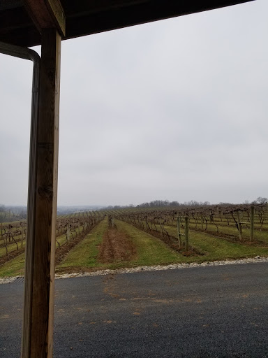 Winery «Lovers Leap Vineyards and Winery», reviews and photos, 1180 Lanes Mill Rd, Lawrenceburg, KY 40342, USA