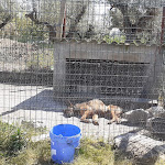 Photo n° 2 de l'avis de Collages.n fait le 22/04/2021 à 14:06 pour Jardi vert, Pépinière de l'Aiguillon à Frouzins