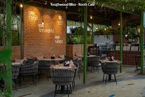 Roots Wellness Cafe image