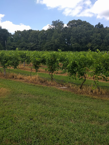 Winery «Villa Antonio Winery», reviews and photos, 3660 Linhorst Rd, Hillsboro, MO 63050, USA