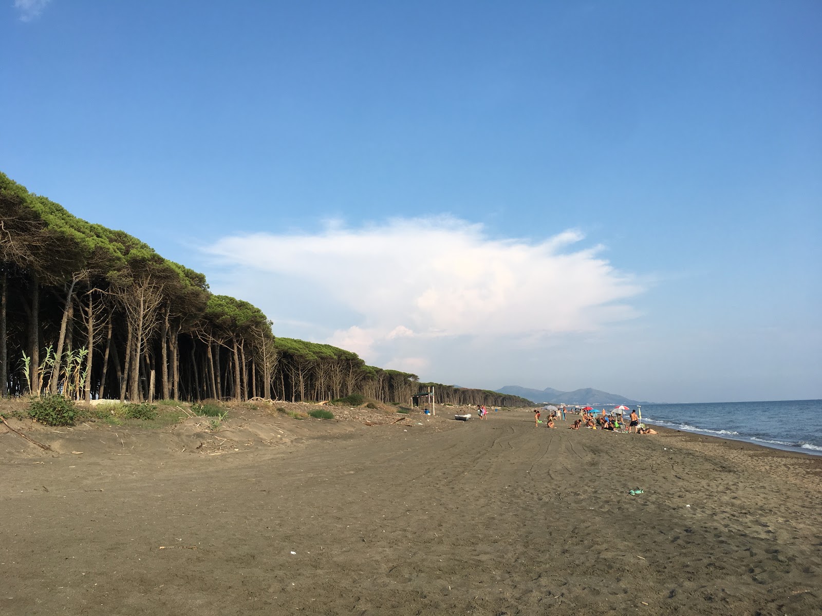 Photo de Foce Garigliano Beach situé dans une zone naturelle