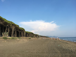 Photo de Foce Garigliano Beach situé dans une zone naturelle