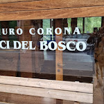 Photo n°1 de l'avis de Michele.r fait le 13/08/2021 à 16:28 sur le  Trattoria Julia à Erto e Casso