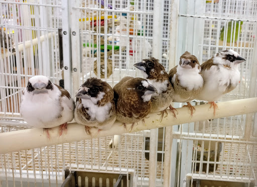 Pet Supply Store «Pet Supermarket, Inc.», reviews and photos, 598 N McCarran Blvd, Sparks, NV 89431, USA