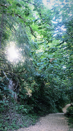 Golf Club «Stone Creek Golf Club», reviews and photos, 14603 S Stoneridge Dr, Oregon City, OR 97045, USA