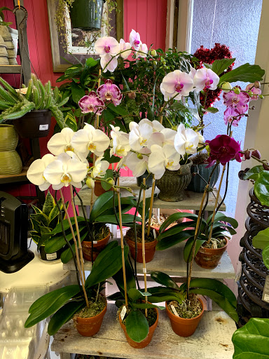 Florist «In The Garden», reviews and photos, 69 Waterwitch Ave, Highlands, NJ 07732, USA