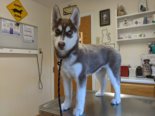 Henniker Veterinary Hospital image