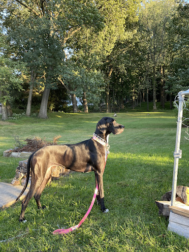 3611 Nicholas St, Easton, PA 18045, USA