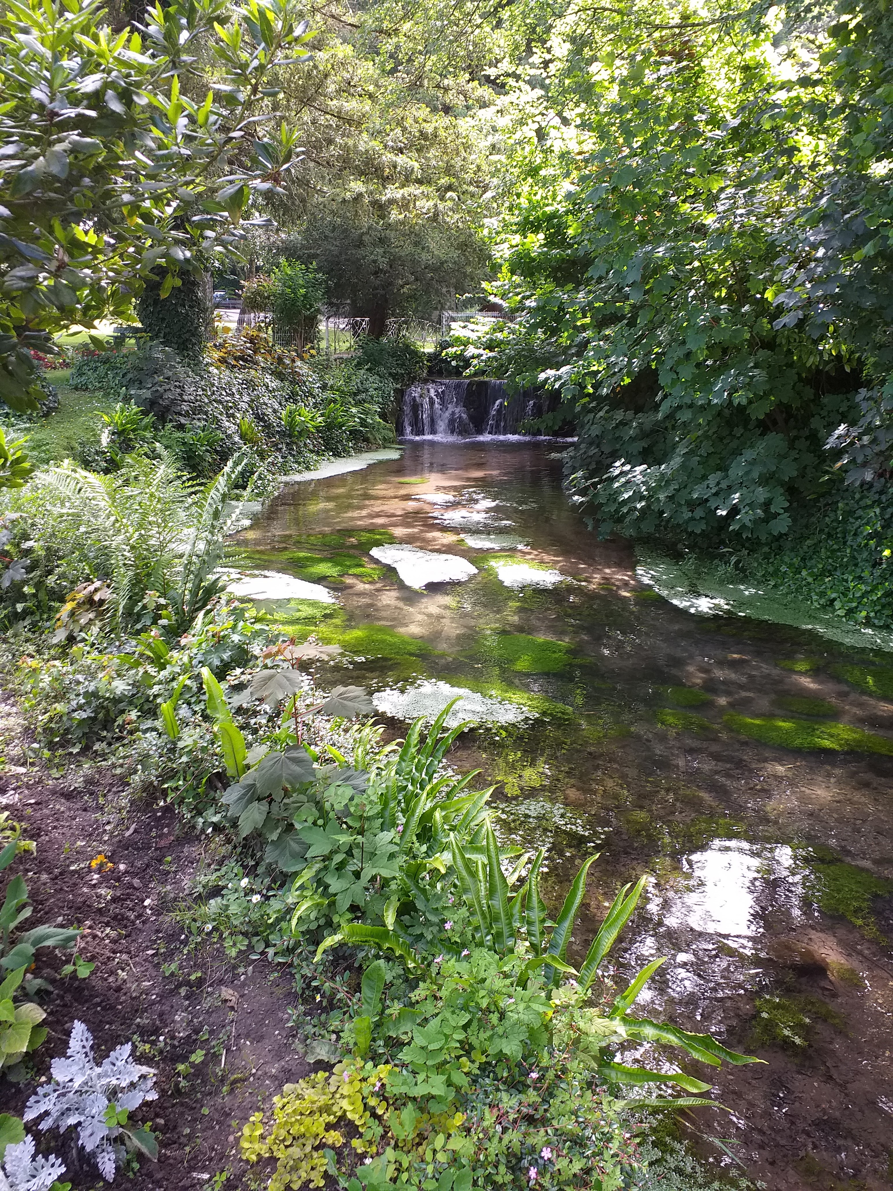 Photo n° 7 de l'avis de Jean.a fait le 20/06/2019 à 17:54