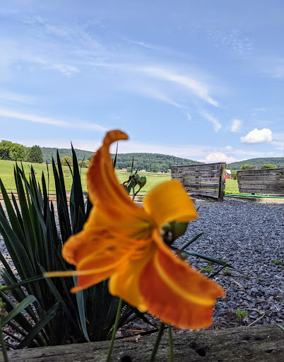 Golf Club «Tee-To-Green Golf Center», reviews and photos, 1501 Montour Blvd, Danville, PA 17821, USA