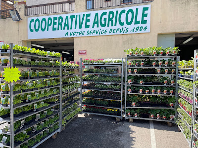 Jardinerie Sopavar à Six-Fours-les-Plages