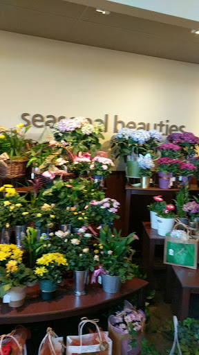 Grocery Store «Safeway», reviews and photos, 20620 W Homestead Rd, Cupertino, CA 95014, USA