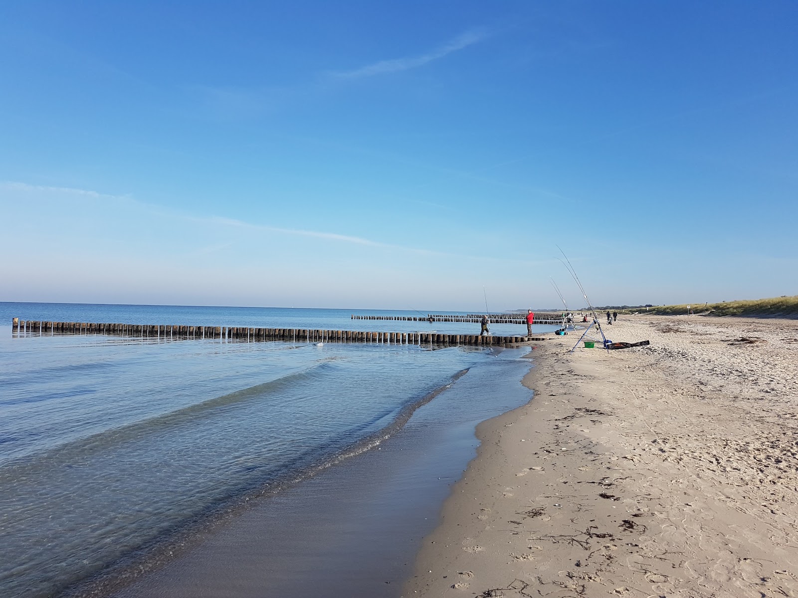 Zdjęcie Dierhagen Ost Beach z powierzchnią beżowy piasek