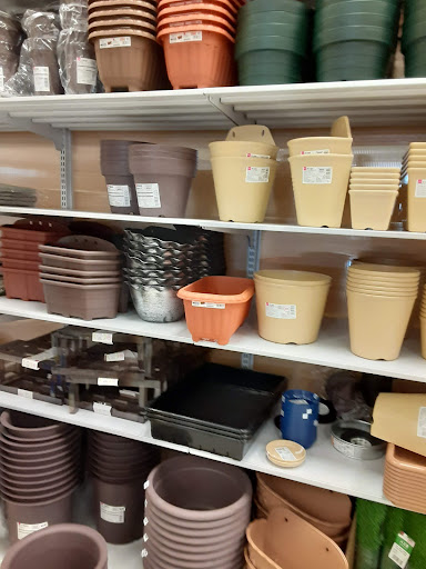 Variety Store «Daiso Japan», reviews and photos, 673 N Euclid St, Anaheim, CA 92801, USA