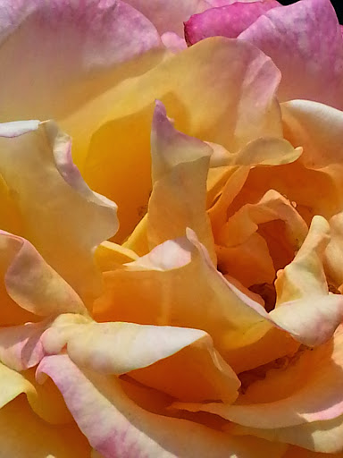 Aquarium «Toledo Zoo Aquarium», reviews and photos, 2700 Broadway St, Toledo, OH 43609, USA