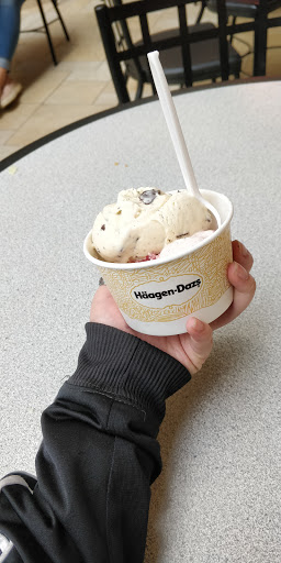 313 Burr Ln, Lake Grove, NY 11755, USA