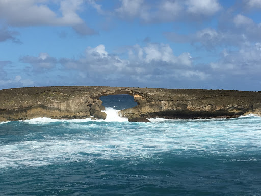 Travel Agency «Hawaiian Travel», reviews and photos, 5005 W Royal Ln #294, Irving, TX 75063, USA