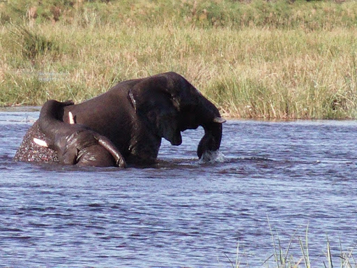 Travel Agency «Hill Barrett Travel», reviews and photos, 14479 Woodinville-Redmond Rd NE, Woodinville, WA 98072, USA